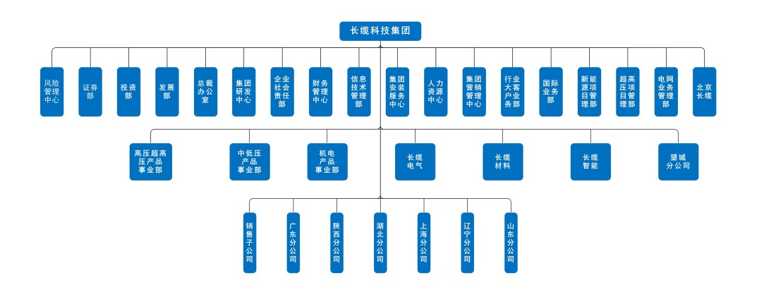 金牌单双王牌单双中特