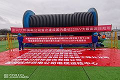 金牌单双王牌单双中特