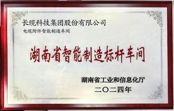 金牌单双王牌单双中特